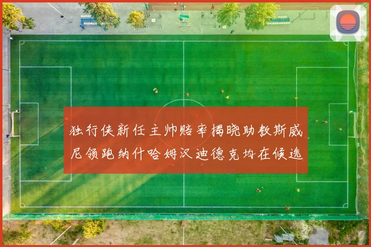 独行侠新任主帅赔率揭晓助教斯威尼领跑纳什哈姆汉迪德克均在候选之中