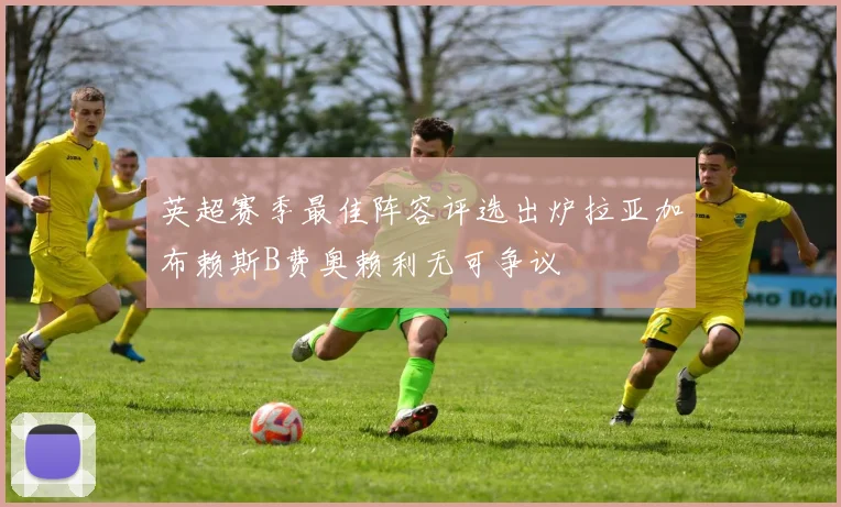英超赛季最佳阵容评选出炉拉亚加布赖斯B费奥赖利无可争议