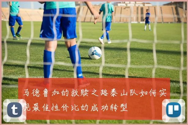 马德鲁加的救赎之路泰山队如何实现最佳性价比的成功转型